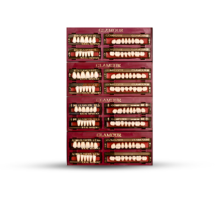 دندان مصنوعی glamour رنگ A3 - تجهیزات دندانپزشکی دیجی سرنگ پلاس - ابزار دندانپزشکی