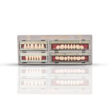 دندان مصنوعی super Newclar رنگ A3 - ابزار پروتز - تجهیزات دندانپزشکی دیجی سرنگ پلاس