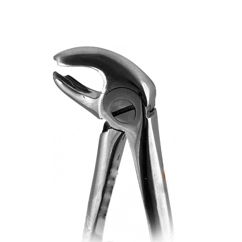 فورسپس مولر پایین - فورسپس مولر پایین فالکن - فورسپس مولر فک پایین