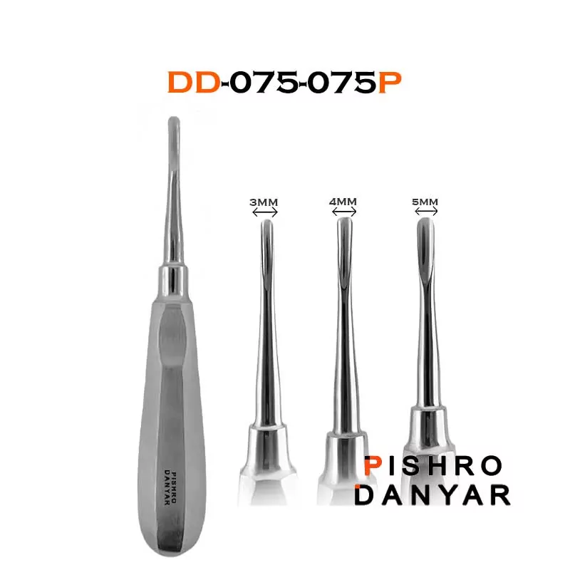 الواتور مستقیم پیشرو (۳سایز) الواتور مستقیم پیشرو (۳سایز)