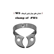 کلمپ رابردم سری W برند کاریزما