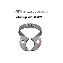 کلمپ رابردم سری W برند کاریزما