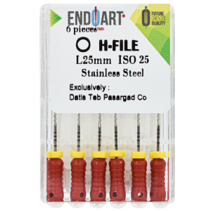 اچ-فایل-سایز25 فایل دستی اچ فایل اندوآرت H File ENDOART