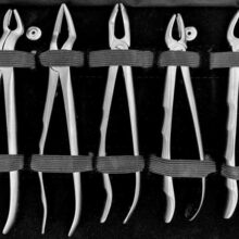 ست فورسپس بزرگسال آناتومیک ۱۱ عددی کاریزما