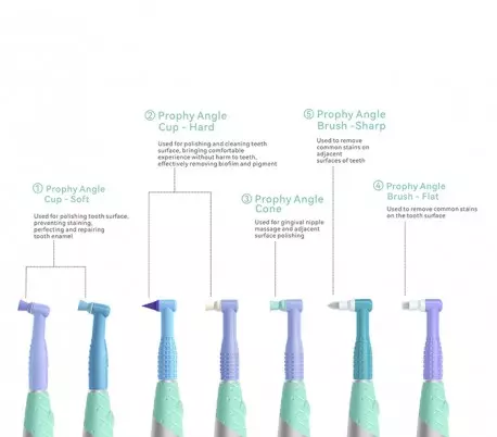 آنگل بیسیم پرافی وودپکر Woodpecker مدل K-PO Prophy Angle - آنگل بیسیم وودپیکر Woodpecker مدل K-Po - آنگل پرافی Woodpecker مدل K-PO آنگل بیسیم پرافی وودپکر Woodpecker مدل K-PO Prophy Angle - آنگل بیسیم وودپیکر Woodpecker مدل K-Po - آنگل پرافی Woodpecker مدل K-PO