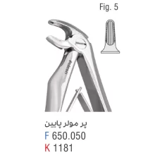 فورسپس پرمولر پایین فالکن fig:5