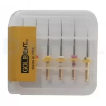 فایل روتاری طلایی گلدنت