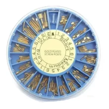 پین داخل کانال دندان آسورت برند نوردین سوئیس - برنجی