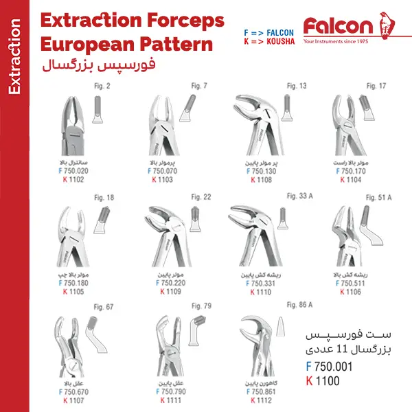 ست فورسپس بزرگسال 11 عددی فالکن ست فورسپس بزرگسال 11 عددی فالکن