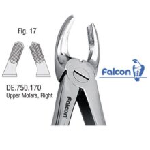 فورسپس مولر بالا راست fig:17 فالکن Falcon