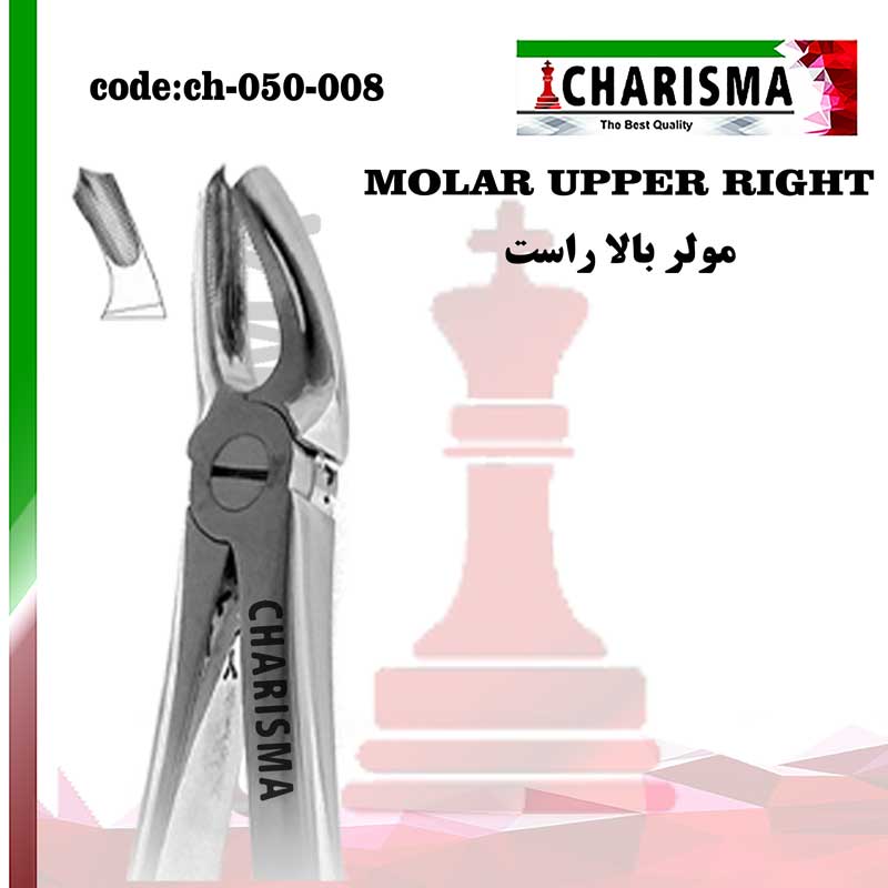 MOLAR-UP-RIGHT