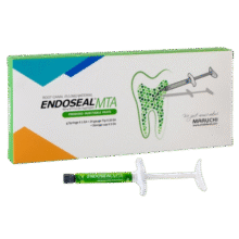 سیلر ماروچی Maruchi Endoseal MTA