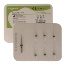 فایبرپست 6 عددی لاستردنت Lusterdent