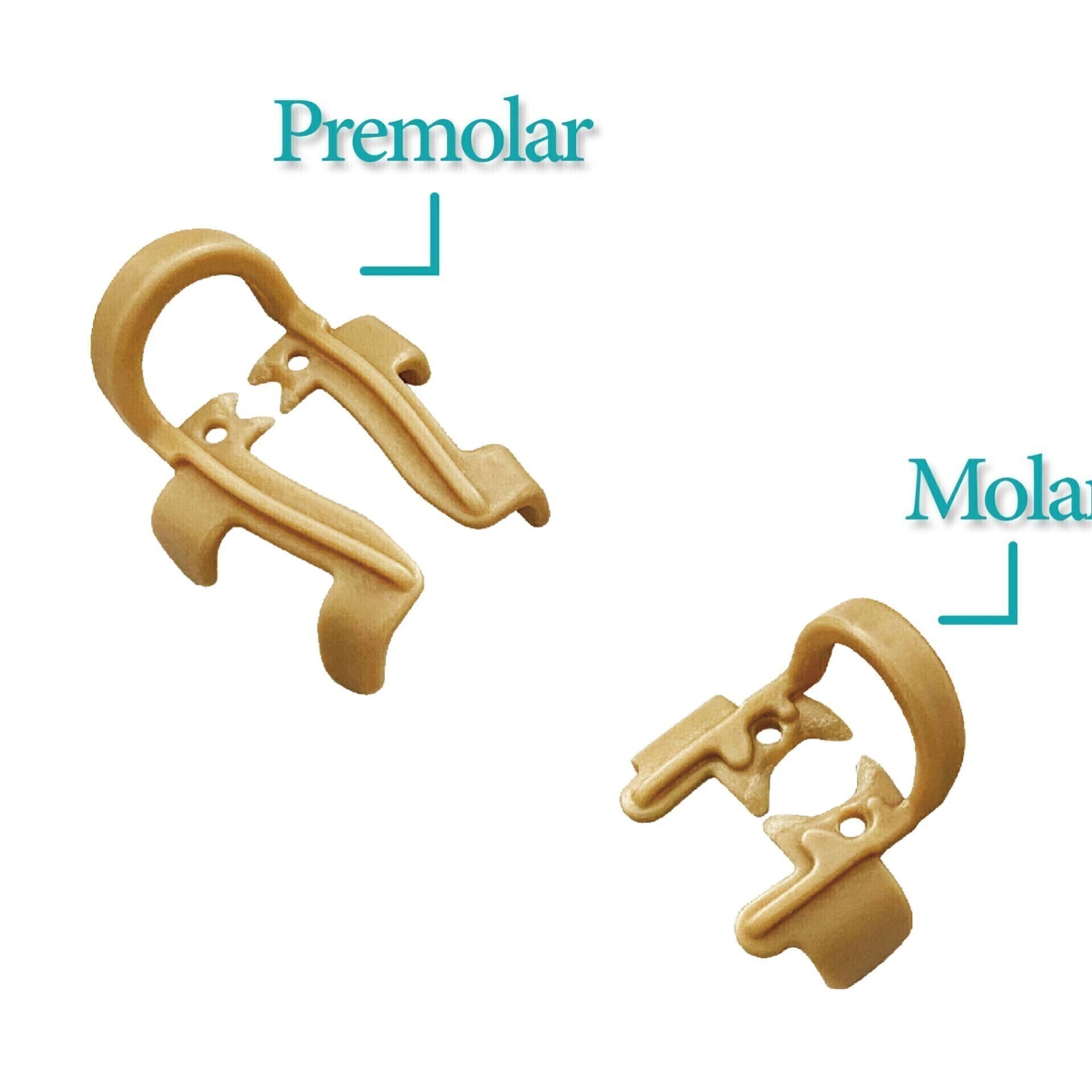 کلمپ نگهدارنده رول پنبه Zt Dental کلمپ نگهدارنده رول پنبه Zt Dental