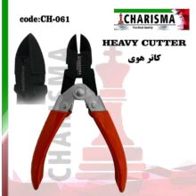 هوی کاتر کاریزما