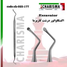 اکسکاواتور کاریزما