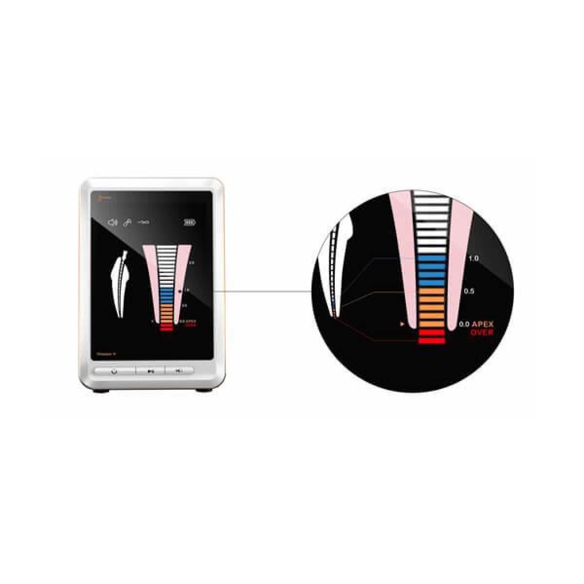 خرید اپکس لوکیتور وودپیکر - Woodpex V - خرید اپکس لوکیتور وودپیکر مدل Woodpex V - اپکس فایندر وودپیکر مدل Woodpex v - دیجی سرنگ پلاس - دیجی سرنگ پلاس خرید اپکس لوکیتور وودپیکر - Woodpex V - خرید اپکس لوکیتور وودپیکر مدل Woodpex V - اپکس فایندر وودپیکر مدل Woodpex v - دیجی سرنگ پلاس - دیجی سرنگ پلاس