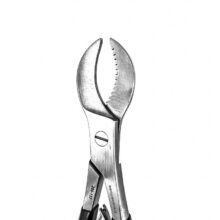 انبر گچ دنتال دیوایس