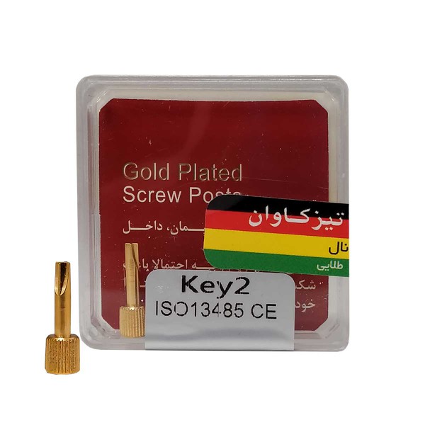 آچار پین داخل کانال پروانه ای
Screw Post_62946c496d050.jpeg آچار پین داخل کانال پروانه ای Teeskavan - آچار پین داخل کانال پروانه ای Nordin - فروشگاه تجهیزات دندانپزشکی دیجی سرنگ پلاس - ابزار مطب