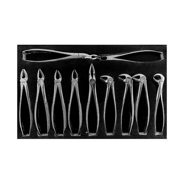 ست فورسپس 11 عددی بزرگسال برند Dental Devices - ست فورسپس ۱۱ عددی دنتال دیوایس - ست فورسپس بزرگسال,ست فورسپس بزرگسال دنتال دیوایس,قیمت ست فورسپس بزرگسال,خرید ست فورسپس بزرگسال,فروش ست فورسپس بزرگسال,خرید اینترنتی ست فورسپس بزرگسال دنتال دیوایس, , Forceps Set دنتال دیوایس, ,Dental Devicesفروش اینترنتی ست فورسپس بزرگسال,ست فورسپس بزرگسال ارزان,ارزان ترین ست فورسپس بزرگسال,ست فورسپس بزرگسال اصل,ست فورسپس بزرگسال MB, بهترین ست فورسپس بزرگسال,ست فورسپس بزرگسال باکیفیت,پرفروشترین ست فورسپس بزرگسال ست فورسپس 11 عددی بزرگسال برند Dental Devices - ست فورسپس ۱۱ عددی دنتال دیوایس - ست فورسپس بزرگسال,ست فورسپس بزرگسال دنتال دیوایس,قیمت ست فورسپس بزرگسال,خرید ست فورسپس بزرگسال,فروش ست فورسپس بزرگسال,خرید اینترنتی ست فورسپس بزرگسال دنتال دیوایس, , Forceps Set دنتال دیوایس, ,Dental Devicesفروش اینترنتی ست فورسپس بزرگسال,ست فورسپس بزرگسال ارزان,ارزان ترین ست فورسپس بزرگسال,ست فورسپس بزرگسال اصل,ست فورسپس بزرگسال MB, بهترین ست فورسپس بزرگسال,ست فورسپس بزرگسال باکیفیت,پرفروشترین ست فورسپس بزرگسال