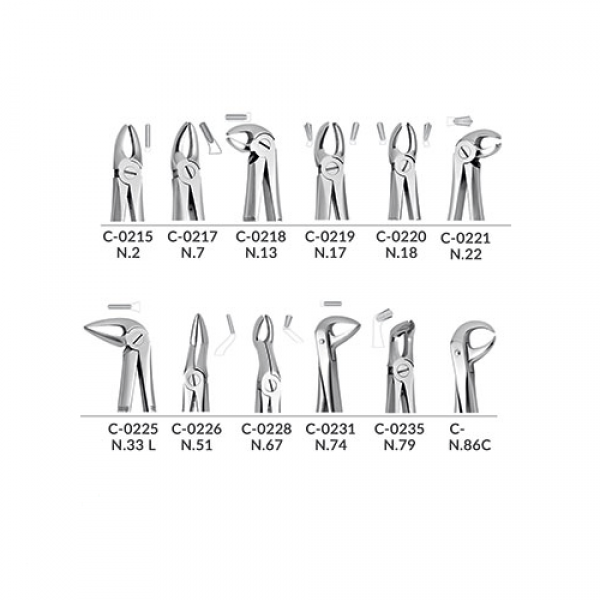 ست فورسپس بزرگسال 12 عددی برند ND - ست فورسپس بزرگسال, ست فورسپس بزرگسال ND,قیمت ست فورسپس بزرگسال,خرید ست فورسپس بزرگسال,فروش ست فورسپس بزرگسال,خرید اینترنتی ست فورسپس بزرگسال ND, , Anatomic Tooth Forceps Set, ,NDفروش اینترنتی ست فورسپس بزرگسال,بهترین ست فورسپس بزرگسال, ست فورسپس بزرگسال باکیفیت,پرفروشترین ست فورسپس بزرگسال ست فورسپس بزرگسال 12 عددی برند ND - ست فورسپس بزرگسال, ست فورسپس بزرگسال ND,قیمت ست فورسپس بزرگسال,خرید ست فورسپس بزرگسال,فروش ست فورسپس بزرگسال,خرید اینترنتی ست فورسپس بزرگسال ND, , Anatomic Tooth Forceps Set, ,NDفروش اینترنتی ست فورسپس بزرگسال,بهترین ست فورسپس بزرگسال, ست فورسپس بزرگسال باکیفیت,پرفروشترین ست فورسپس بزرگسال