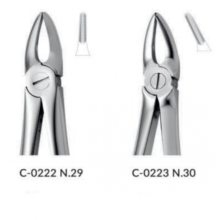 فورسپس ریشه کش فک بالا برند ND - فورسپس ریشه‌کش فک بالا ND,قیمت فورسپس ریشه‌کش فک بالا,خرید فورسپس ریشه‌کش فک بالا,‌فروش فورسپس ریشه‌کش فک بالا,خرید اینترنتی فورسپس ریشه‌کش فک بالا ND, , Upper Roots Forceps Forceps, , ND فروش اینترنتی فورسپس ریشه‌کش فک بالا, فورسپس ریشه‌کش فک بالا ارزان