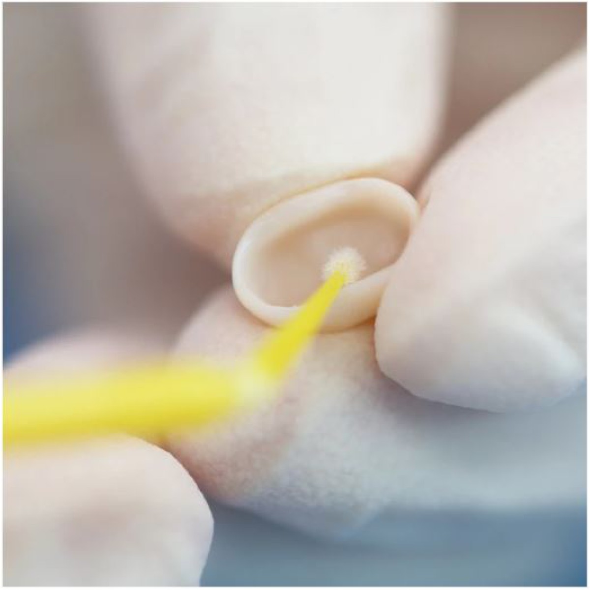 متال و سرامیک پرایمر برند Huge - پرایمر دندانپزشکی, قیمت پرایمر ,خرید پرایمر دندانپزشکی, پرایمر هیوج ,سرامیک و متال پرایمر, قیمت سرامیک و متال پرایمر هیوج, دندانپزشکی, مواد دندانپزشکی, ابزار دندانپزشکی ,انواع پرایمر دندانپزشکی, بهترین برندهای دندانپزشکی, ,huge, TopCEM Ceramic Primer huge, متال و سرامیک پرایمر برند Huge - پرایمر دندانپزشکی, قیمت پرایمر ,خرید پرایمر دندانپزشکی, پرایمر هیوج ,سرامیک و متال پرایمر, قیمت سرامیک و متال پرایمر هیوج, دندانپزشکی, مواد دندانپزشکی, ابزار دندانپزشکی ,انواع پرایمر دندانپزشکی, بهترین برندهای دندانپزشکی, ,huge, TopCEM Ceramic Primer huge,