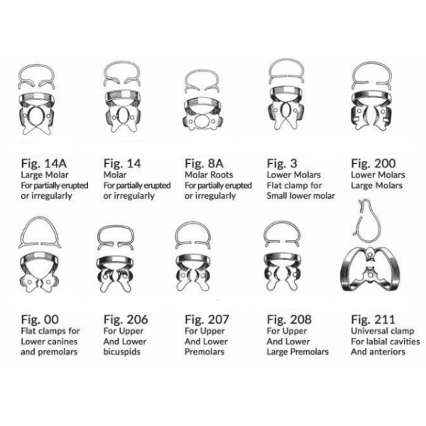 کلمپ رابردم ND - قیمت و خرید کلمپ رابردم - فروش انواع کلمپ رابردم - خرید تجهیزات دندانپزشکی دیجی سرنگ پلاس - خرید ابزار دندانپزشکی - دیجی سرنگ پلاس کلمپ رابردم ND - قیمت و خرید کلمپ رابردم - فروش انواع کلمپ رابردم - خرید تجهیزات دندانپزشکی دیجی سرنگ پلاس - خرید ابزار دندانپزشکی - دیجی سرنگ پلاس