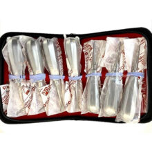 ست الواتور پیشرو - قلم جرمگیری, ست های ابزار و لوازم دندانپزشکی, گریسی, گریسی هالو, جرمگیری, قلم گریسی, ست گریسی - الواتور ساده