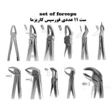 ست فورسپس ۱۱ عددی برند کاریزما - فورسپس ساده - خرید ست فورسپس - قیمت ست فورسپس - فروش ست فورسپس - خرید آنلاین ابزار دندانپزشکی از دیجی سرنگ پلاس - دیجی سرنگ پلاس