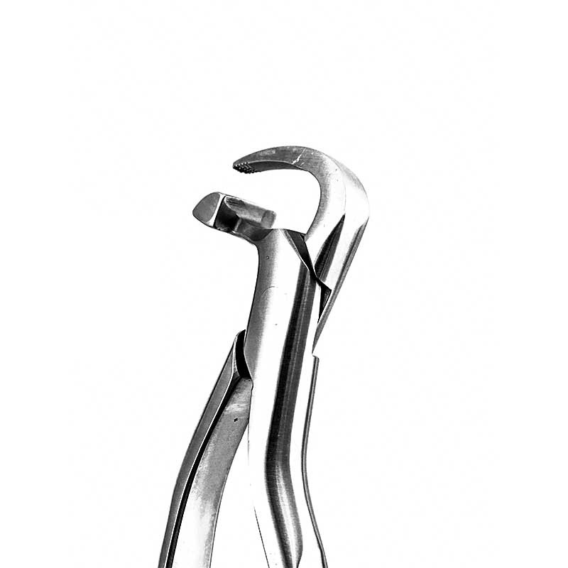 ست فیزیک فورسپس (آتراماتیک) دنتال دیوایس - فیزیک فورسپس (آتراماتیک) - گریسی, گریسی هالو, جرمگیری, قلم گریسی, ست گریسی, قلم جرمگیری, ست های ابزار و لوازم دندانپزشکی ست فیزیک فورسپس (آتراماتیک) دنتال دیوایس - فیزیک فورسپس (آتراماتیک) - گریسی, گریسی هالو, جرمگیری, قلم گریسی, ست گریسی, قلم جرمگیری, ست های ابزار و لوازم دندانپزشکی