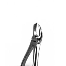 کاهورن بالا راست و چپ G دنتال دیوایس - کاهورن بالا راست G دنتال دیوایس - کاهورن بالا چپ G دنتال دیوایس - قیمت و خرید فورسپس ساده دندانپزشکی