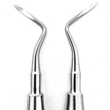 الواتور ریشه راست ارگوتاچ دنتال دیوایس ?- اینسترومنت دندانپزشکی - ابزار الواتور - دیجی سرنگ پلاس