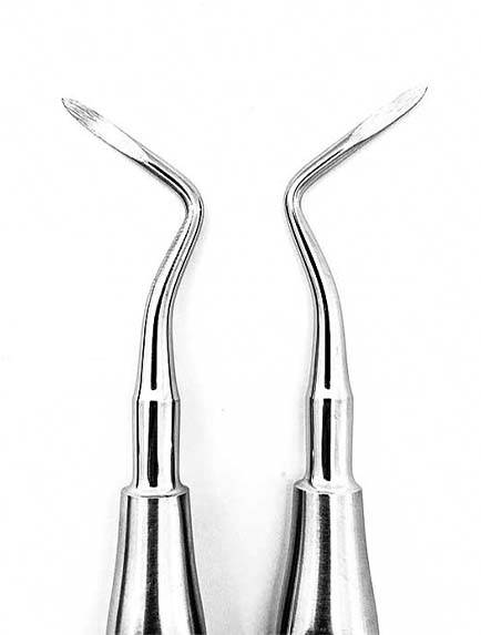 الواتور ریشه راست ارگوتاچ دنتال دیوایس الواتور ریشه راست ارگوتاچ دنتال دیوایس ?- اینسترومنت دندانپزشکی - ابزار الواتور - دیجی سرنگ پلاس