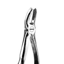 فورسپس آناتومیک مولر بالا چپ دنتال دیوایس - تجهیزات دندانپزشکی دیجی سرنگ پلاس - فروشگاه ابزار دندانپزشکی - خرید ابزار فورسپس - فورسپس آناتومیک