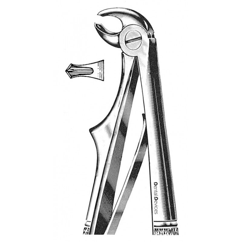 فورسپس مولر پایین اطفال پیشرو فورسپسفورسپس مولر پایین اطفال پیشرو ? - اینسترومنت - ابزار فورسپس - فورسپس اطفال - دیجی سرنگ پلاس مولر پایین اطفال - خرید آنلاین اینسترومنت های دندانپزشکی - دیجی سرنگ پلاس - پرمولر پایین - فورسپس اطفال فنر دار مولر پایین